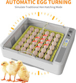 Egg Incubator 36 Eggs Fully Automatic Digital Poultry Hatching Machine Temperature Control & Automatic Egg Turner Egg Incubator for Hatching Chicks for Chickens Ducks Goose Birds