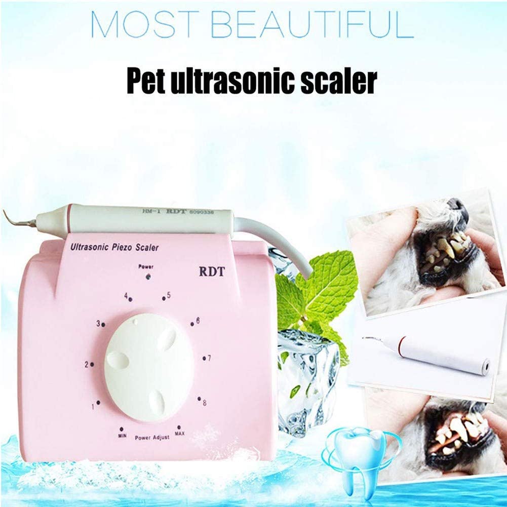 Professional Pet Ultrasonic Dental Scaler Sonic Tooth Calculus Cleaning Machine Teeth Stains Tartar Plaque Remover for Pet Cat Small Animals