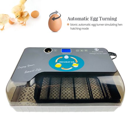 Egg Incubator