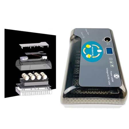 Egg Incubator