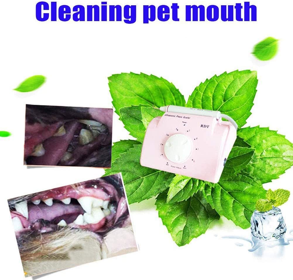 Professional Pet Ultrasonic Dental Scaler Sonic Tooth Calculus Cleaning Machine Teeth Stains Tartar Plaque Remover for Pet Cat Small Animals