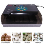12 Eggs Egg Incubator Fully Automatic Incubator Digital Poultry Hatcher Egg Turning Temp Control with LED Candling Lamp