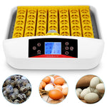 41 Egg Incubator Poultry Hatching Machine with Temperature Control Small General Digital Incubator Breeder Hatcher