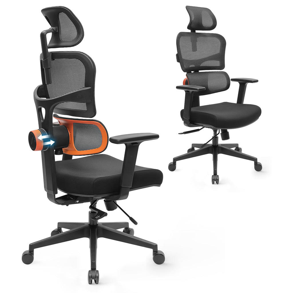 （Standard version）Ergonomic office chair with footrest, High back desk chair with unique adjustable lumbar support, office chair with 4D armrest