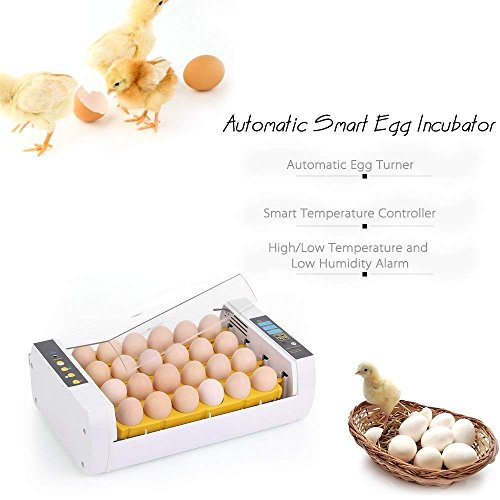 Egg Incubator Digital Incubators for Hatching Chicken Turkey Quail Fertilized Eggs