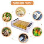 Egg Incubator Digital Incubators for Hatching Chicken Turkey Quail Fertilized Eggs