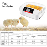 32 Eggs Digital Egg Incubator with Automatic Egg Turning and Humidity & Temperature Control, LED Candler
