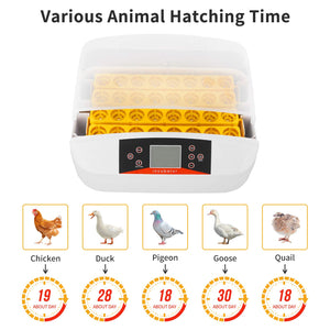 32 Eggs Digital Egg Incubator with Automatic Egg Turning and Humidity & Temperature Control, LED Candler