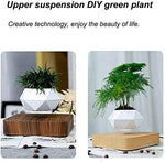 Magnetic Floating Levitating Plant Pot for Plants with Oak Wood Base