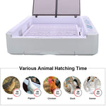 36-80 Eggs Incubator Poultry Hatching Machine Digital Display Auto Turning W/LED