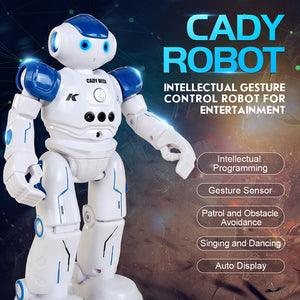 RC Robot Toy with Gesture Sensing Remote Programmable Can Singing Dancing