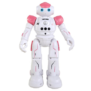 RC Robot Toy with Gesture Sensing Remote Programmable Can Singing Dancing