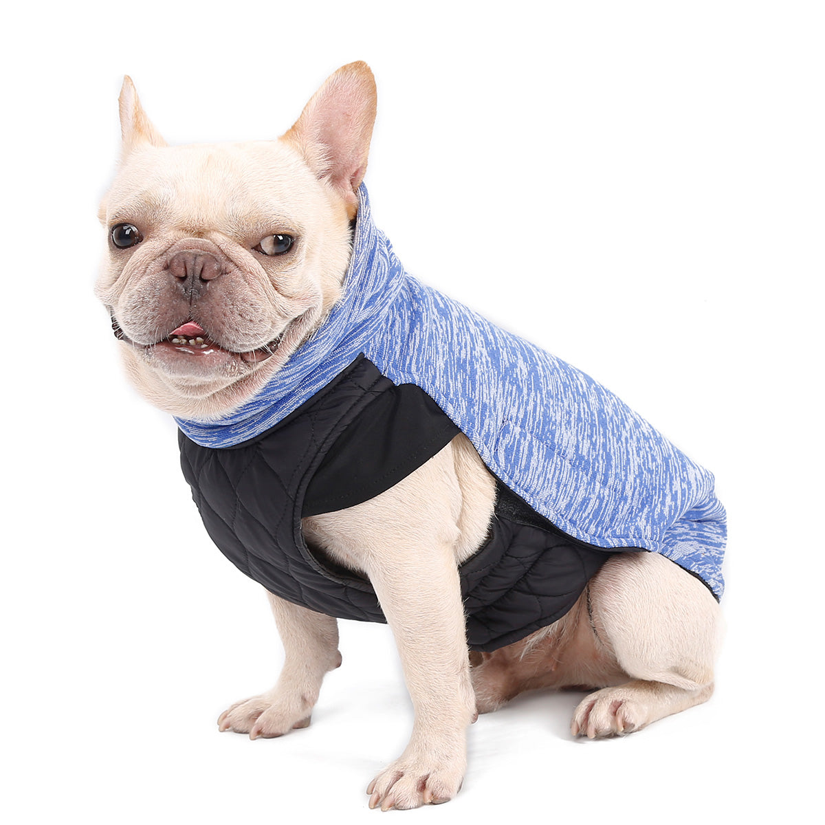 Pet Clothing Double-Sided Winter Dog Sweater High Collar Pet Warm Clothing Winter Jacket