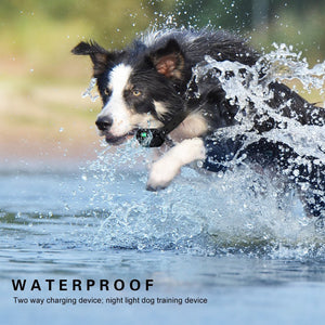 Dog Bark Collar with Shock Vibration Sound Adjustable levels Waterproof with Transmitter for Small Medium Large Dogs, Orange/Black