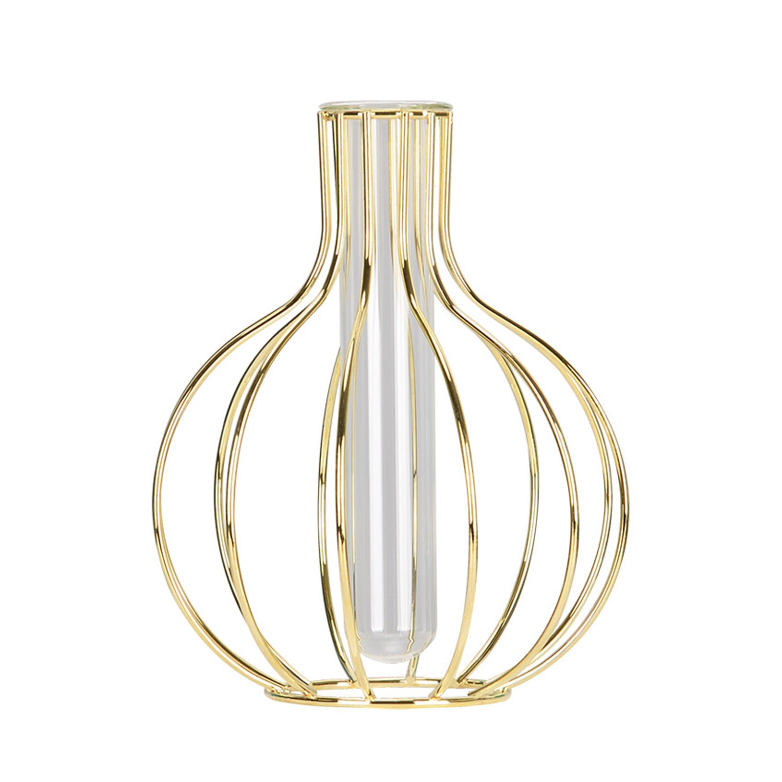 Glass-Vase-with-Metal-Frame