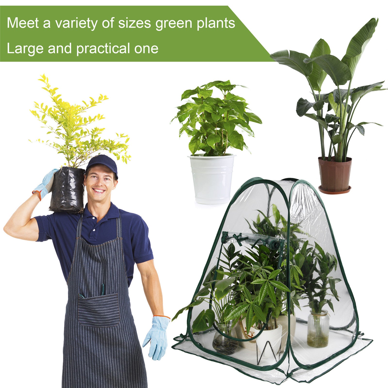 Mini Pop Up Small Greenhouse Transparent PVC Plant House with 4 Anchoring Stakes and Zipper Ventilation Window for Indoor Outdoor Use