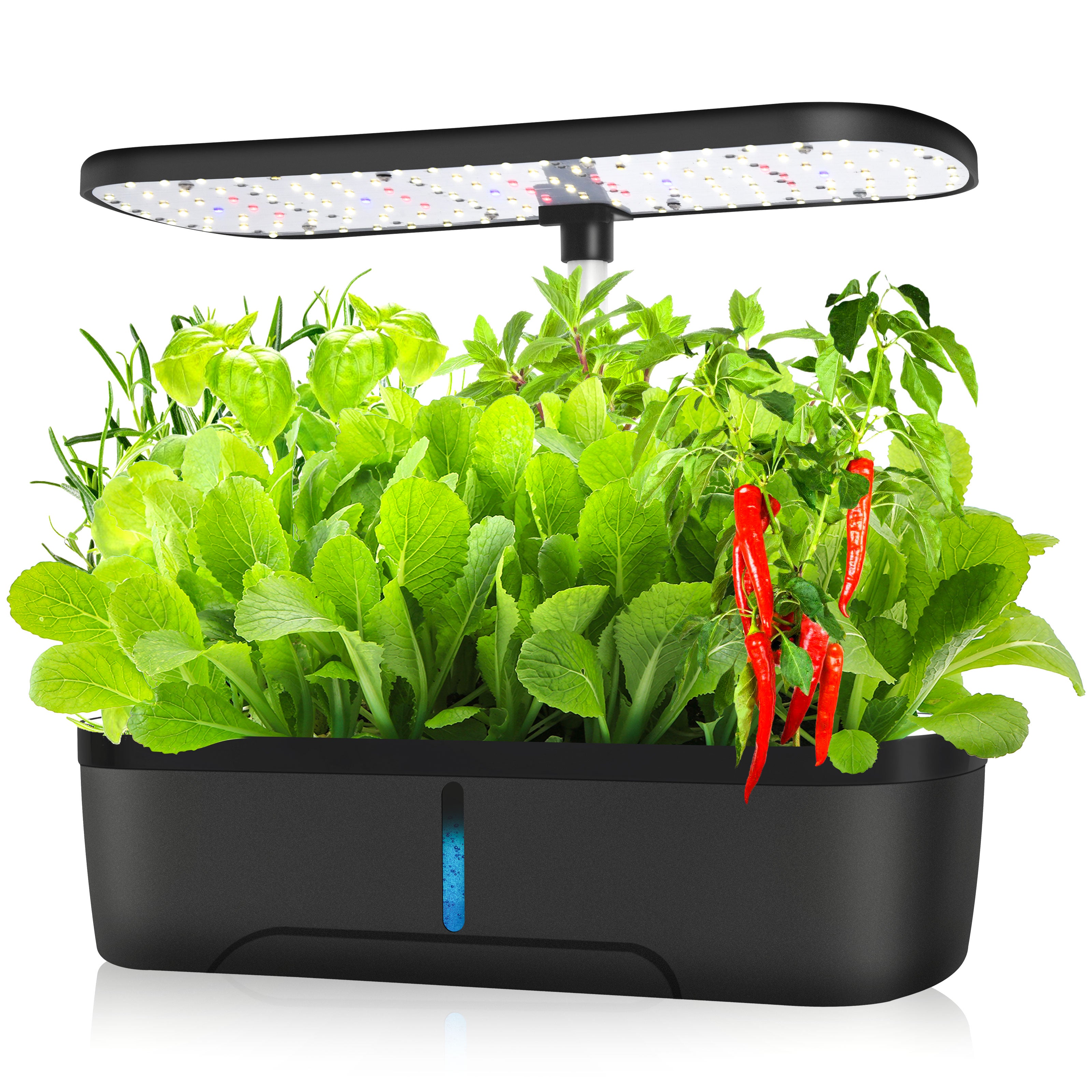Hydroponics Growing System 12 Pods Plant Starter Kit with Timer Grow Light Pump System Big Water Tank