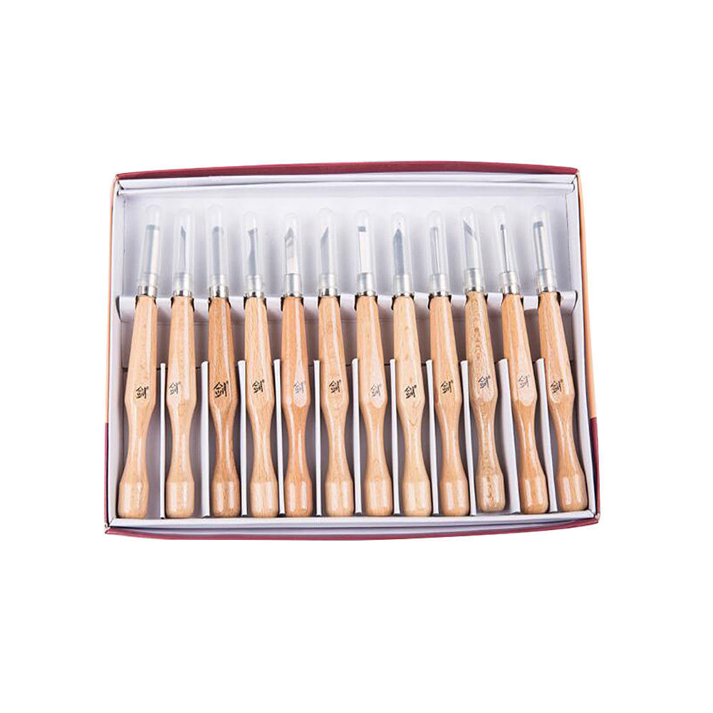 12 Pcs Engraving Knife Wood Carving Tools Kit Carbon Steel Graver Set with Storage Case for Kids & Beginners