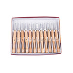 12 Pcs Engraving Knife Wood Carving Tools Kit Carbon Steel Graver Set with Storage Case for Kids & Beginners