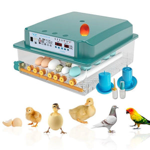 Eggs Incubators for Hatching Chicken Duck Poultry Automatic Turner LED Display