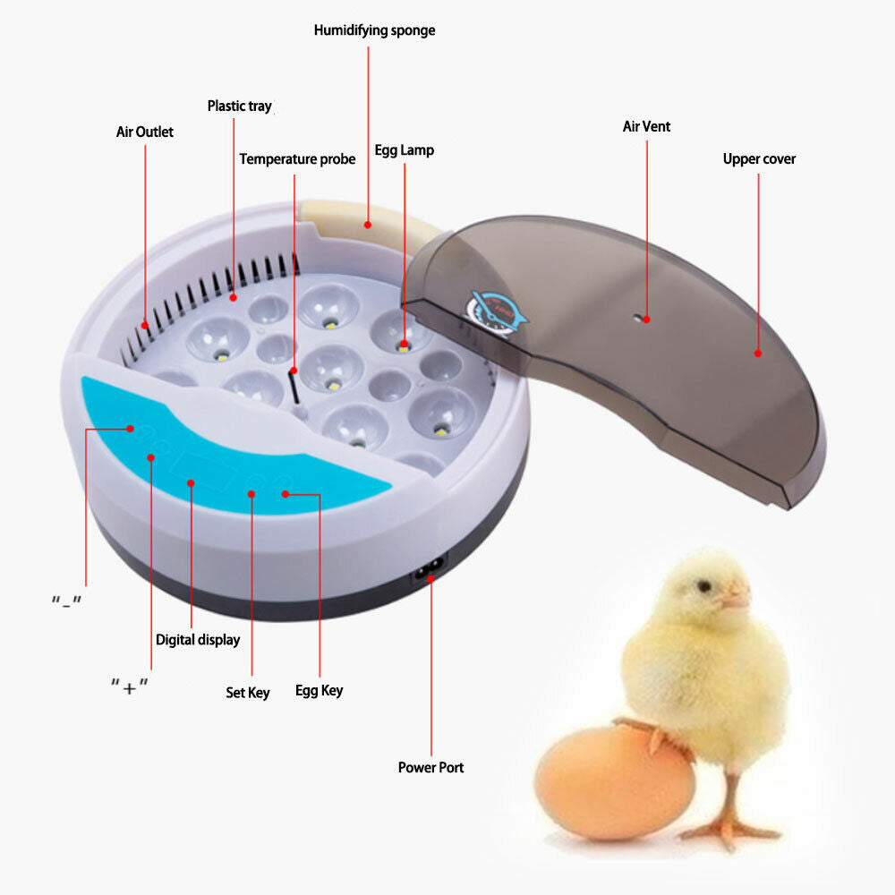 Automatic Incubator 9 Eggs With Humidity Display Automatic Temperature Control