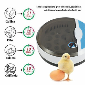 Automatic Incubator 9 Eggs With Humidity Display Automatic Temperature Control