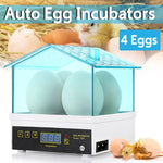 4 Eggs Fully Automatic Incubator Digital Poultry Hatcher Egg Turning LED Lamp