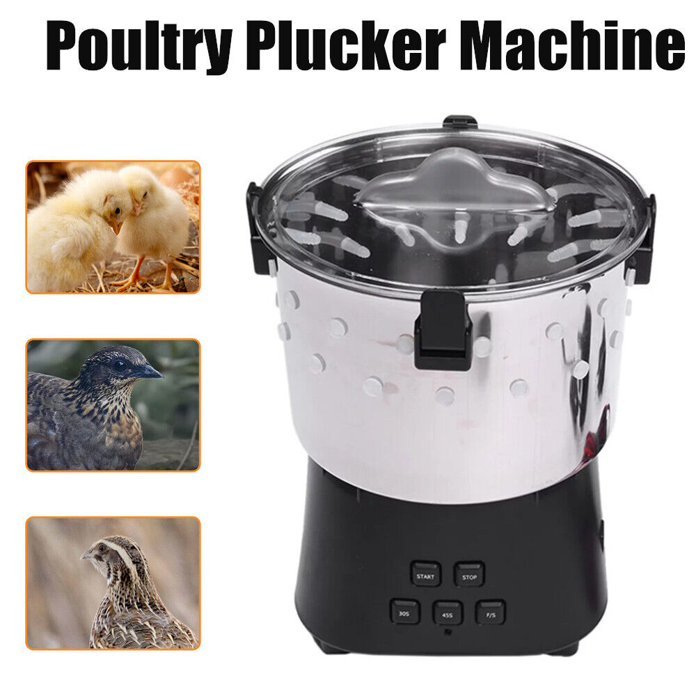 Plucking Machine Labor Saving Quail Birds Hair Removal Plucker Poultry Epilator