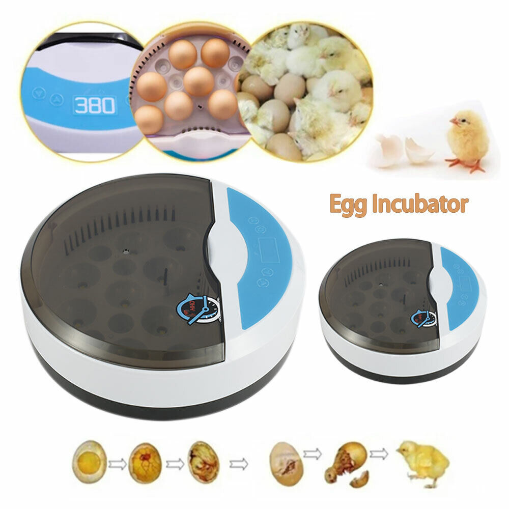 Automatic Incubator 9 Eggs With Humidity Display Automatic Temperature Control