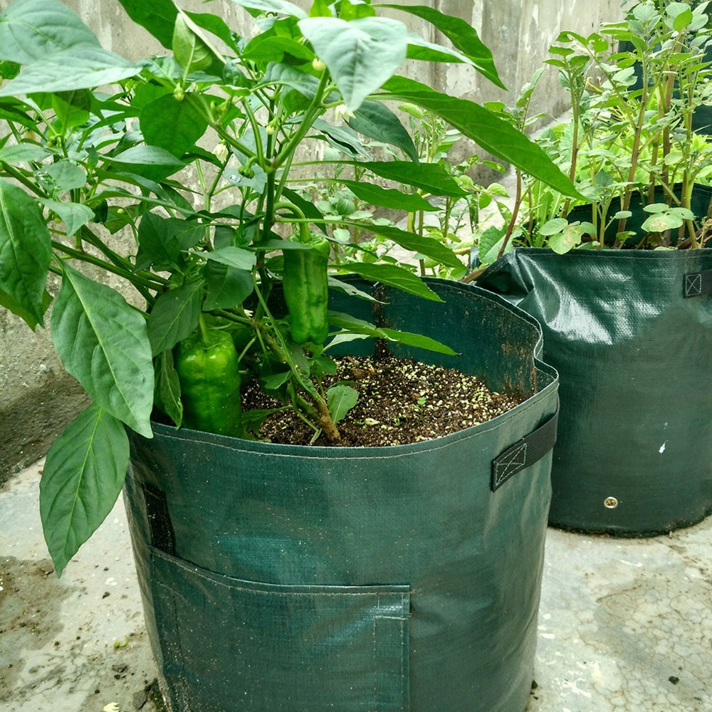 Planting Bags 